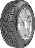 Фото - Шины OTANI WE1000 215/60 R16 99H