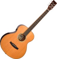 Фото - Гитара Tanglewood TRS1E