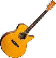 Фото - Гитара Tanglewood TWX6CESMF