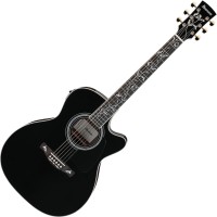 Фото - Гитара Ibanez AC391RCE
