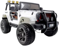 Фото - Детский электромобиль Super-Toys WXE-1688 24V