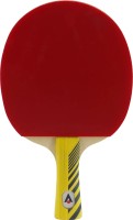 Фото - Ракетка для настольного тенниса Karakal KTT-300
