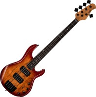 Фото - Гитара Sterling StingRay 5 RAY35 HH Maple Top