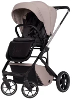 Фото - Коляска Cavoe Moi+ 2 in 1
