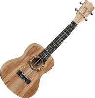 Фото - Гитара Tanglewood TWT10