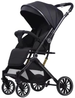 Фото - Коляска Kidilo 525Baby