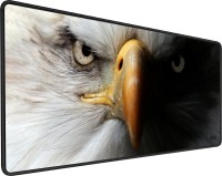 Фото - Коврик для мышки SHLab White Eagle