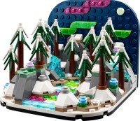 Фото - Конструктор Lego Northern Lights Diorama 40785