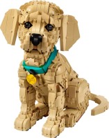 Фото - Конструктор Lego Golden Retriever Puppy 11384
