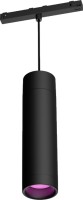 Фото - Прожектор / светильник Philips Hue Perifo cylindrical pendant light