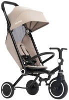 Фото - Детский велосипед Smartrike Wonder Max