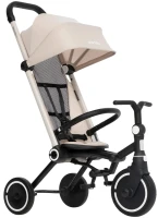 Фото - Детский велосипед Smartrike Wonder Plus