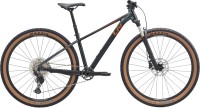 Фото - Велосипед Giant Liv Tempt 0 29 2026 frame S
