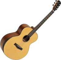 Фото - Гитара JN Guitars GLEN-O