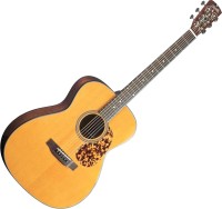 Фото - Гитара Blue Ridge BR-143