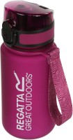 Фото - Фляга Regatta Tritan Bottle 350ml