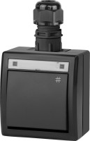 Фото - Выключатель Elektro-Plast Aquant 5006-67