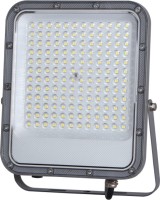 Фото - Прожектор / светильник Italux Timbo FD-23913-100W