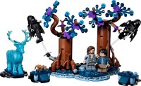 Фото - Конструктор Lego Forbidden Forest Expecto Patronum 76475