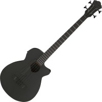 Фото - Гитара Ibanez AEGB420