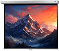 Фото - Проекционный экран Celexon Manual Professional Plus 160x120