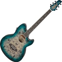 Фото - Гитара Ibanez TCY10PA