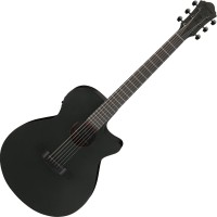 Фото - Гитара Ibanez AEG621