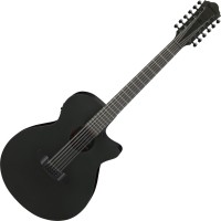 Фото - Гитара Ibanez AEG1221