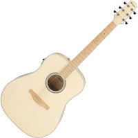 Фото - Гитара Ibanez AAD77M1E