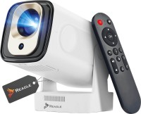 Фото - Проектор Reagle Movielum P30