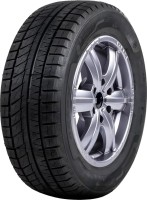 Фото - Шины RoadX RXFrost WU02 225/55 R19 99H