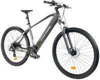 Фото - Электровелосипед Indiana E-MTB 2.0 M 29 2025 frame 21
