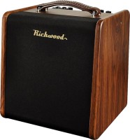 Фото - Гитарный усилитель / кабинет Richwood RPF-65