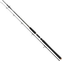Фото - Удилище Daiwa BG Offshore Pilk 11905-245
