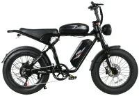 Фото - Электровелосипед SAMEBIKE M20 III