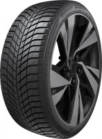 Фото - Шины Hankook Winter I*Cept Evo4 W340 235/55 R19 105V