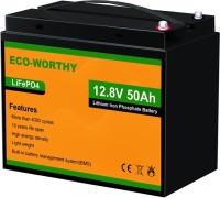 Фото - Батарея Dyness Eco-Worthy-1250