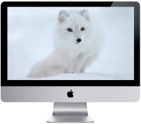 Фото - Персональный компьютер Apple iMac 21.5" 2013 (Z0PD00057)