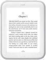 Фото - Электронная книга Barnes&Noble Nook GlowLight 