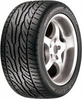 Фото - Шины Dunlop SP Sport 5000M 225/45 R17 91V 