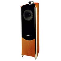 Фото - Акустическая система Tannoy Dimension TD10 