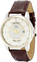 Фото - Наручные часы Q&Q A184J501Y