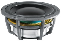 Фото - Автоакустика Dynaudio MW-152 