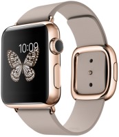 Фото - Смарт часы Apple Watch 1 Edition  42 mm