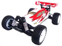 Фото - Радиоуправляемая машина BSD Racing Brushless Buggy 1:10