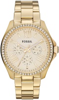 Фото - Наручные часы FOSSIL AM4482