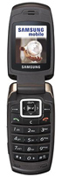 Фото - Мобильный телефон Samsung SGH-X510 
