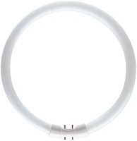 Фото - Лампочка Philips MASTER TL5 Circular 22W 3000K 2GX13 