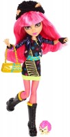 Фото - Кукла Monster High 13 Wishes Howleen Wolf Y7710 