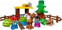 Фото - Конструктор Lego Animals 10582 